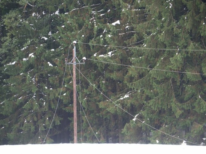 Umstürzende Bäume haben Anfang Oktober 2013 eine Stromleitung zerstört und zu einem Stromausfall über eineinhalb Tage geführt.