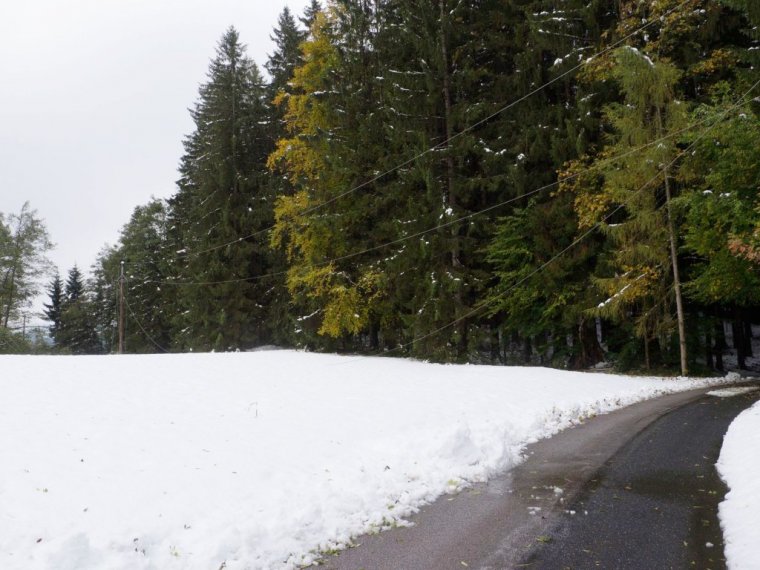 Stromausfall durch zerstörte Freileitung